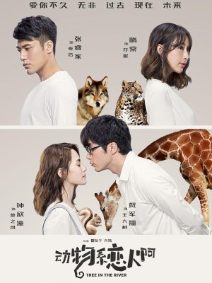 xem phim Tam Trang Khi Yeu