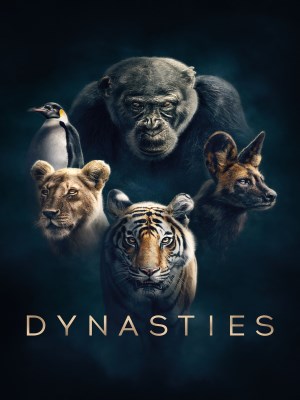 xem phim Dynasties