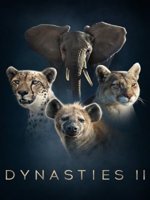 xem phim Dynasties II