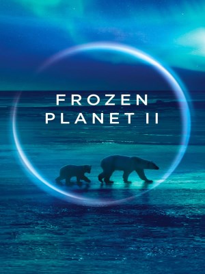xem phim Frozen Planet II