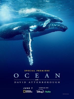 xem phim Dai Duong Voi David Attenborough