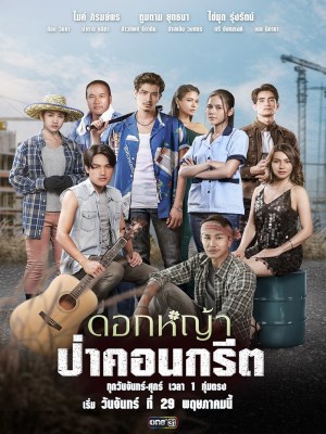 xem phim Mot Bong Hoa Dai Trong Thanh Pho