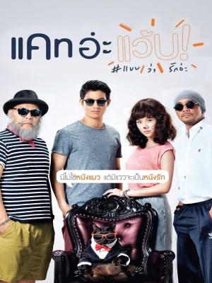 xem phim Mèo Mai Mối