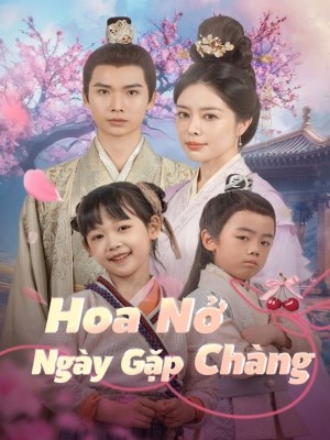 xem phim Hoa Nở Ngày Gặp Chàng