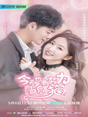 xem phim Ban Gai Toi La Mot Chu Meo