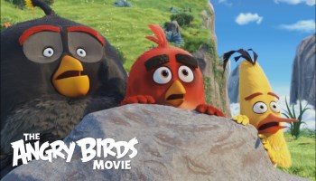 xem phim Angry Birds